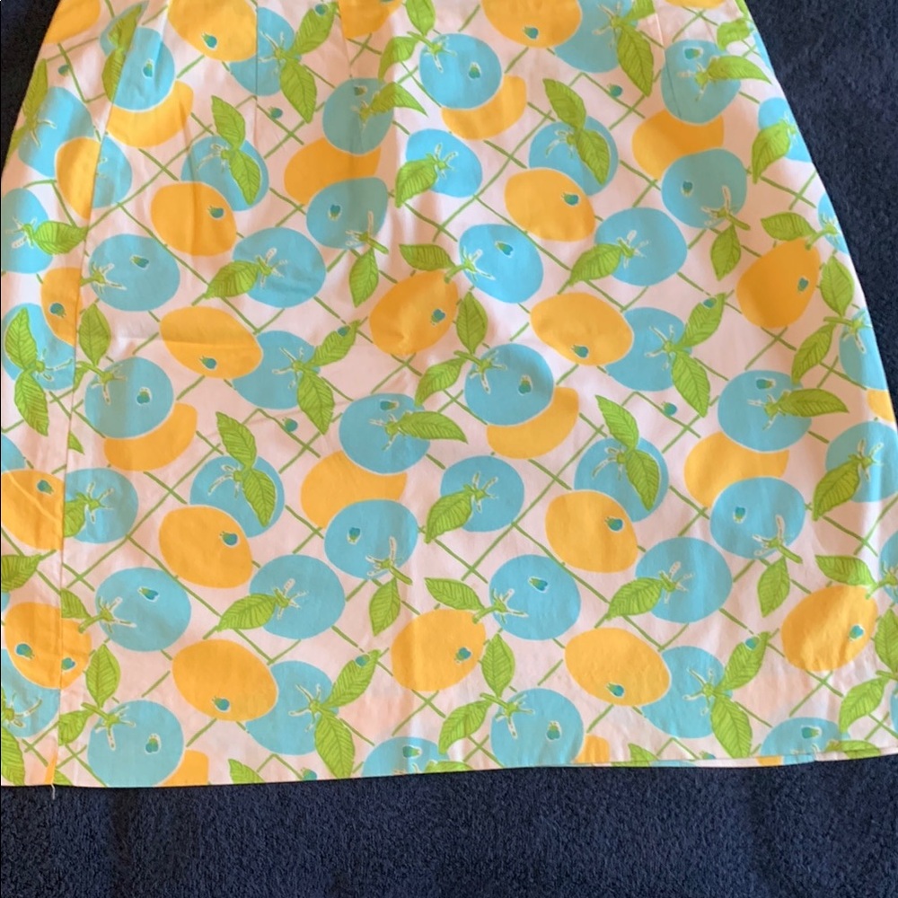 Lily A-line skirt Floral Print Skirt - Blue, Yellow, Green Size 8